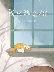 我只想念你的英文翻译