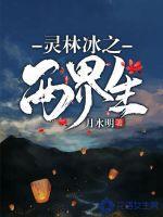 灵界之灾什么意思