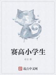 岳风与柳如烟