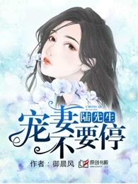 陆先生要宠我