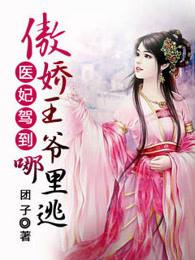 傲娇王爷神医王妃要休夫免费