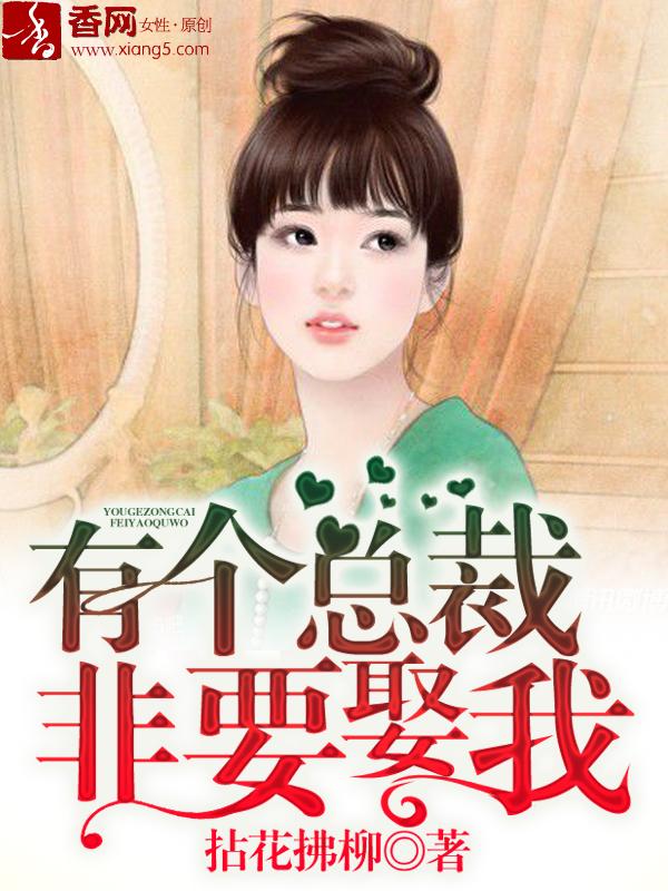 总裁要娶我2