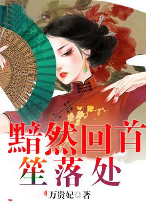 黯然落幕是什么意思