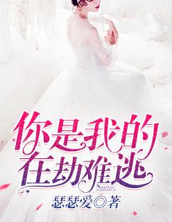 你是我的在劫难逃陆微微