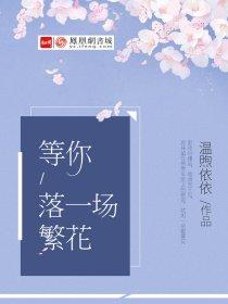 等你落一场繁花歌词