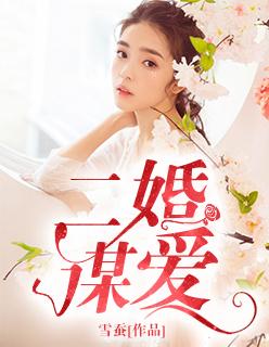 二婚txt