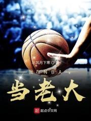 我在nba当教练