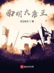 南明大唐网