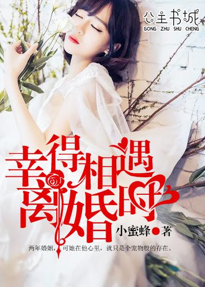 幸得相遇离婚时短剧在线观看