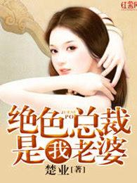 我的绝色总裁老婆在都市