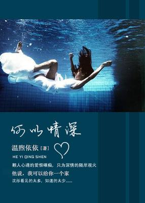 何以情深 txt