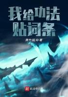 我给功法贴词条起点