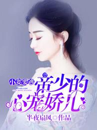 小妻要逃帝少的心宠娇儿全文阅读