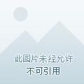 高冷裴教授