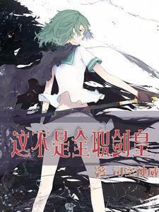 这不是全职剑皇吗